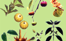 > </div>
<div class=